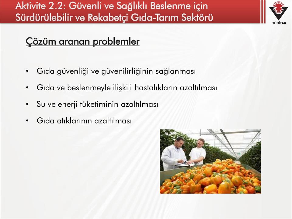 Gıda-Tarım Sektörü Çözüm aranan problemler Gıda güvenliği ve