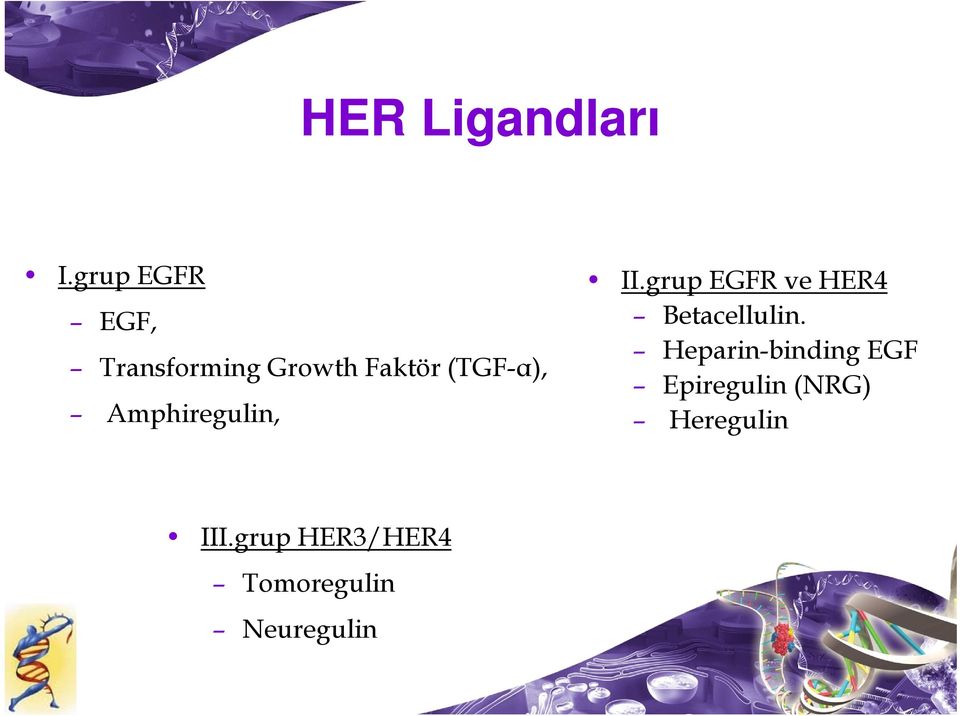 Amphiregulin, II.grup EGFR ve HER4 Betacellulin.