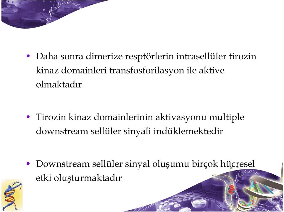 domainlerinin aktivasyonu multiple downstream sellüler sinyali