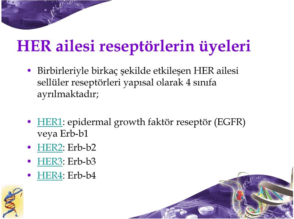 olarak 4 sınıfa ayrılmaktadır; HER1: epidermal growth