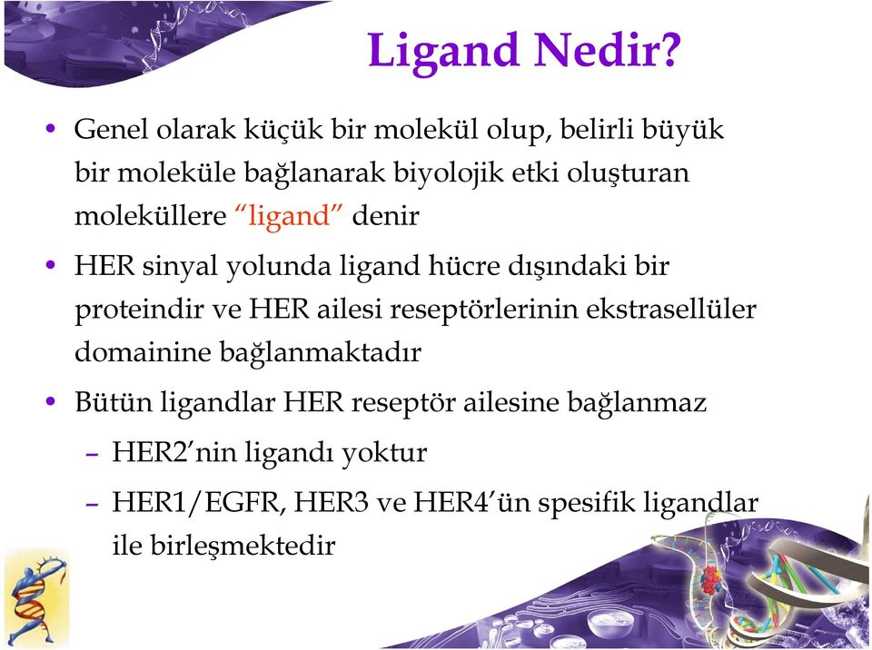 moleküllere ligand denir HER sinyal yolunda ligand hücre dışındaki bir proteindir ve HER ailesi