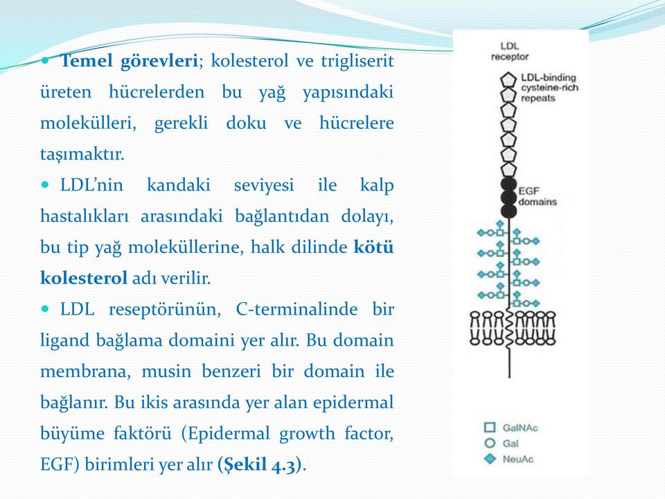 LDL nin kandaki seviyesi ile kalp hastalıkları arasındaki bağlantıdan dolayı, bu tip yağ moleküllerine, halk dilinde kötü