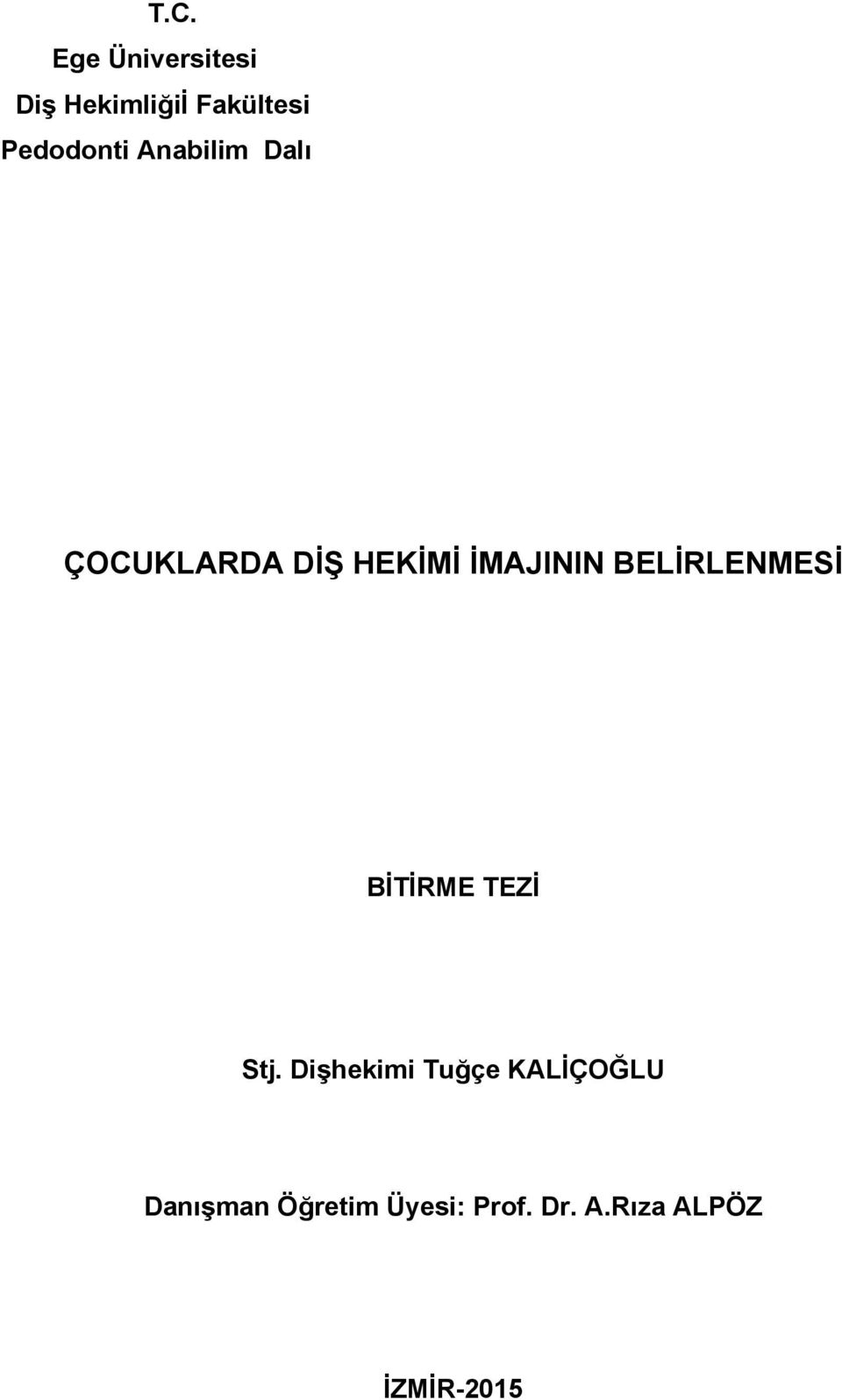 İMAJININ BELİRLENMESİ BİTİRME TEZİ Stj.