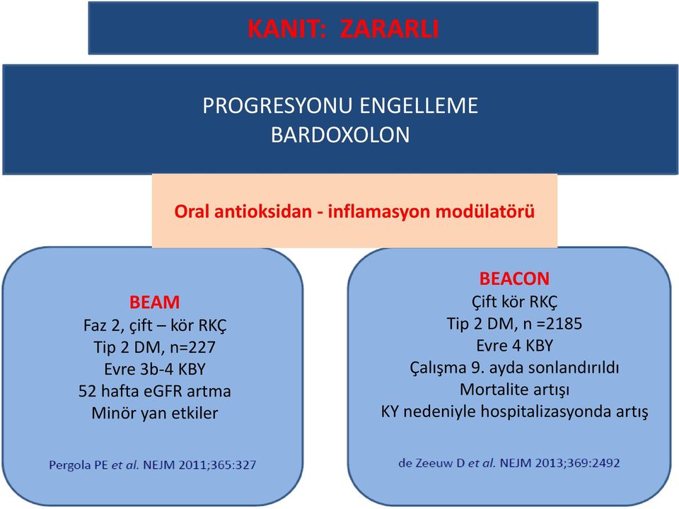 egfr artma Minör yan etkiler BEACON Çift kör RKÇ Tip 2 DM, n =2185 Evre 4 KBY