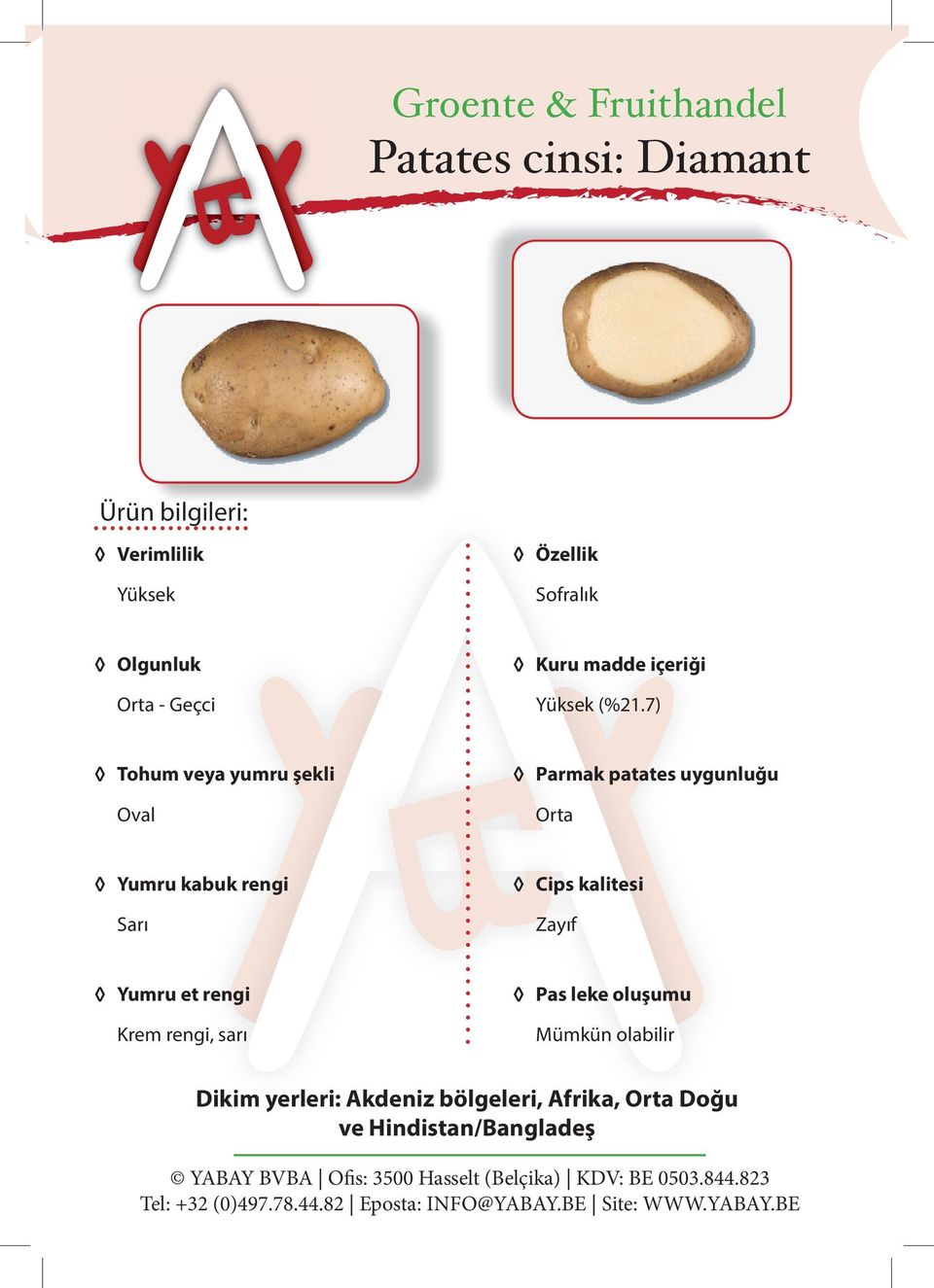 7) Oval Orta Krem rengi, sarı Mümkün olabilir