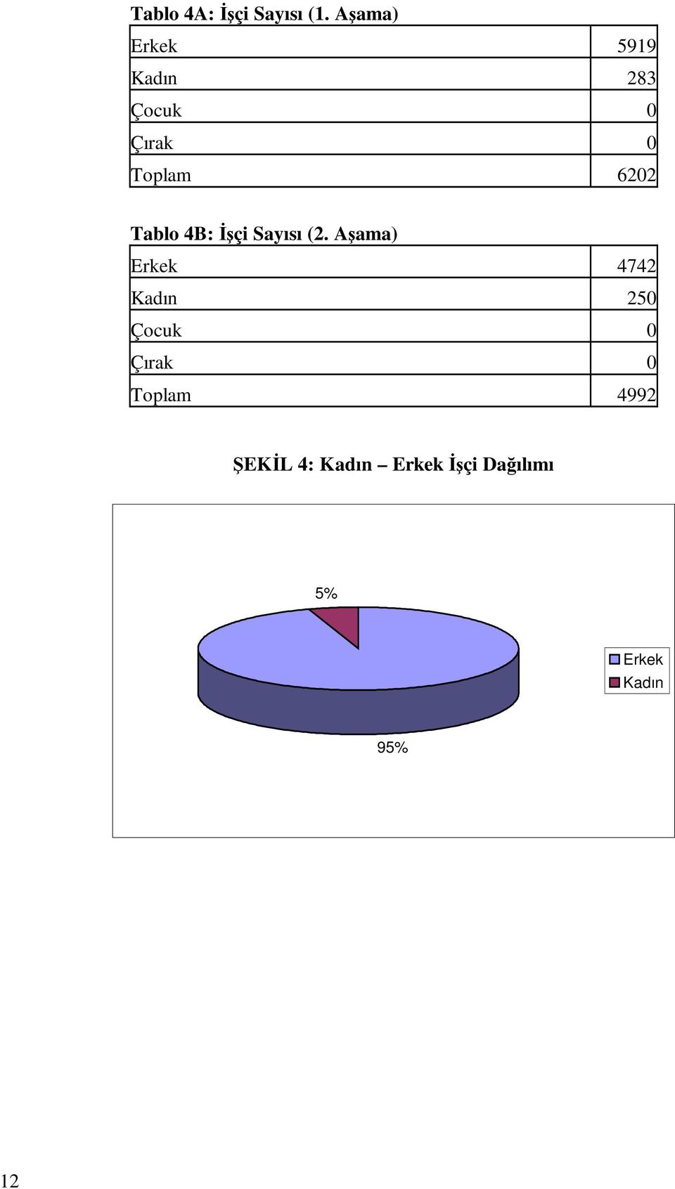 6202 Tablo 4B: İşçi Sayısı (2.