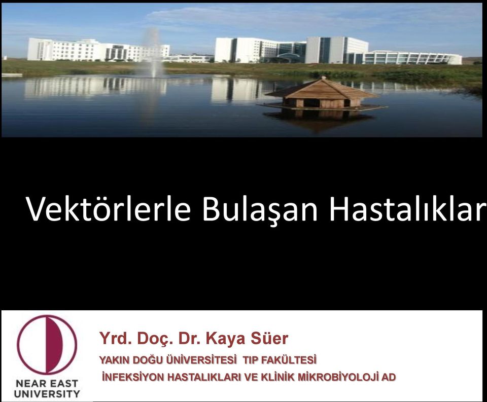 Kaya Süer YAKIN DOĞU ÜNİVERSİTESİ