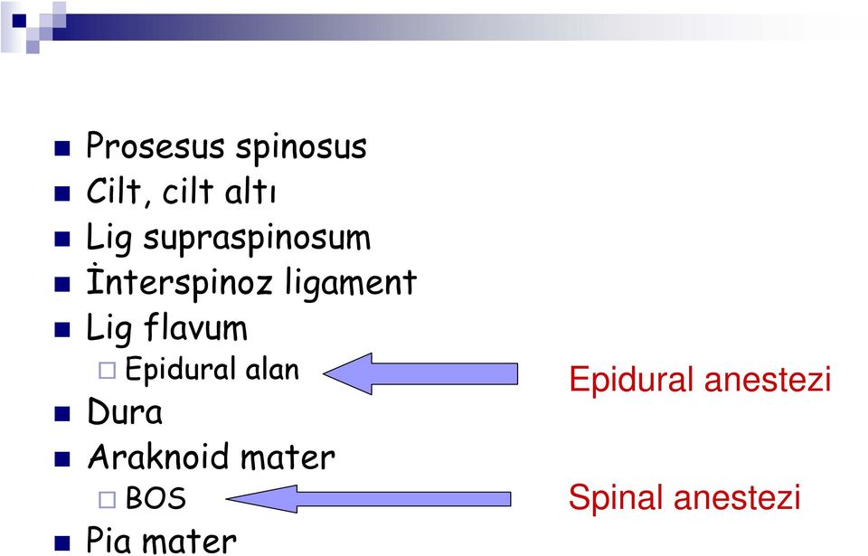 flavum Epidural alan Dura Araknoid mater