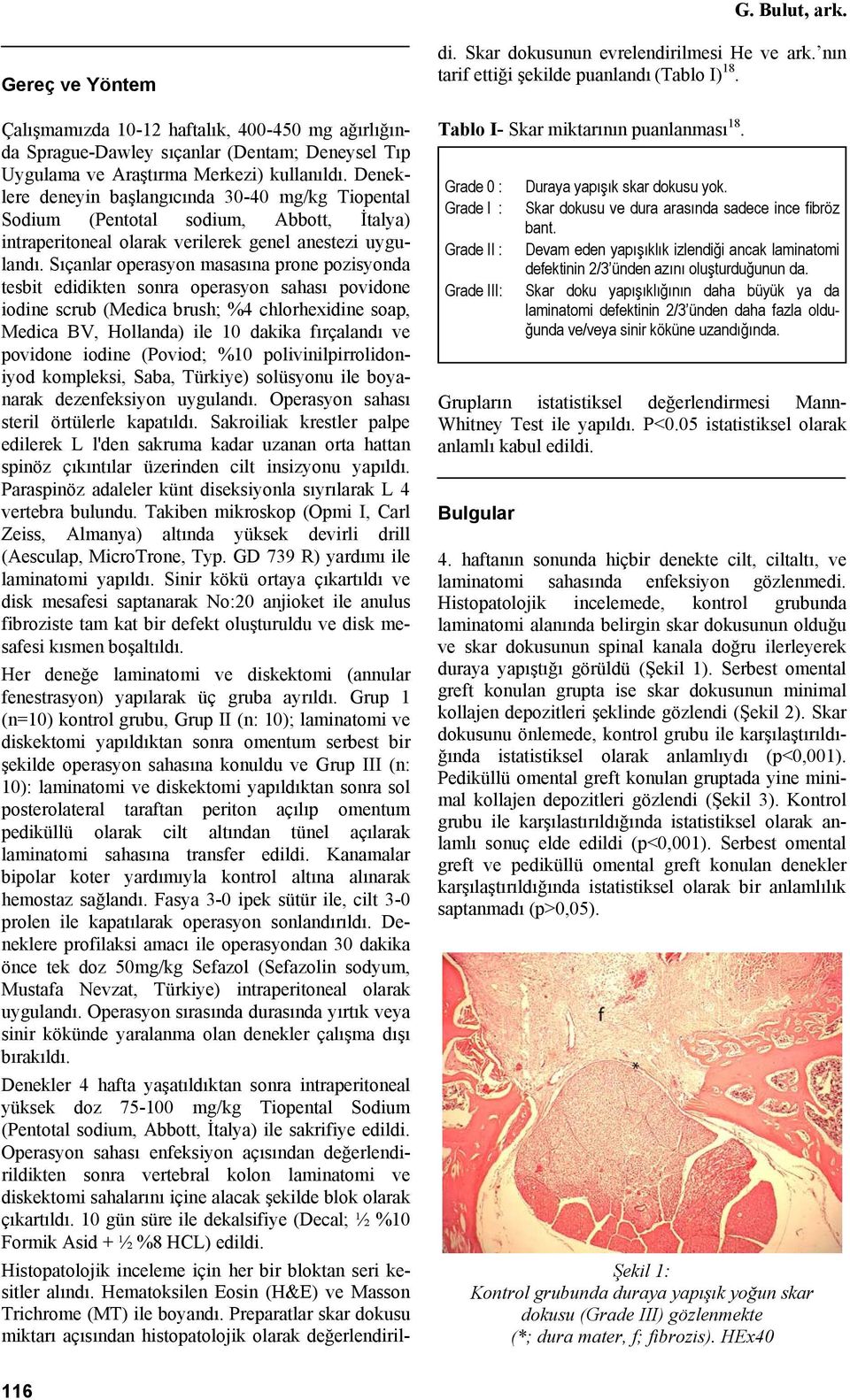 Sıçanlar operasyon masasına prone pozisyonda tesbit edidikten sonra operasyon sahası povidone iodine scrub (Medica brush; %4 chlorhexidine soap, Medica BV, Hollanda) ile 10 dakika fırçalandı ve