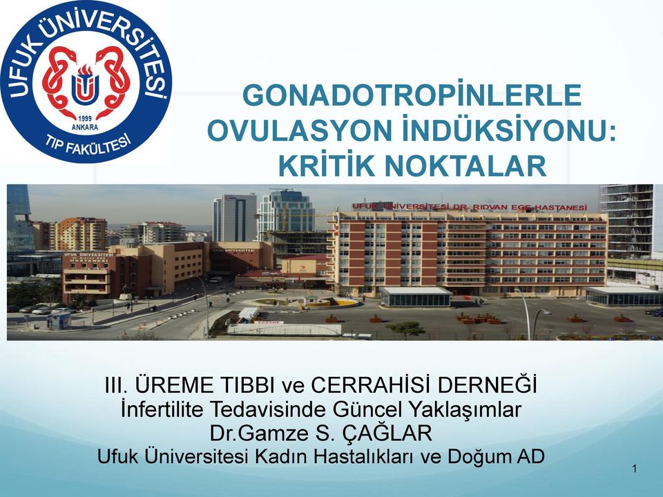 ÜREME TIBBI ve CERRAHİSİ DERNEĞİ İnfertilite