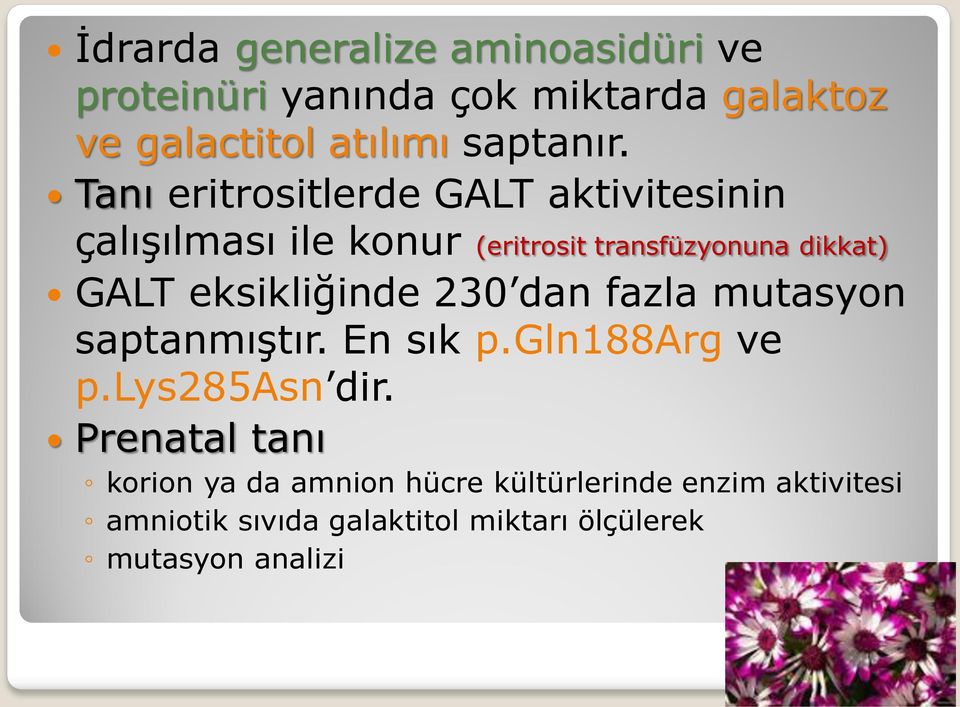 eksikliğinde 230 dan fazla mutasyon saptanmıştır. En sık p.gln188arg ve p.lys285asn dir.