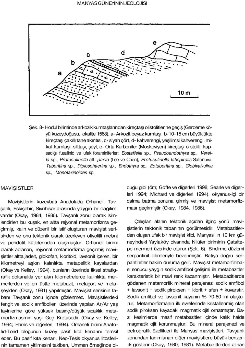 kireçtaşı olistoliti; kapsadığı fusulinid ve ufak foraminiferler: Eostaffella sp., Pseudoendothyra sp., Verella sp., Profusulinella aff.