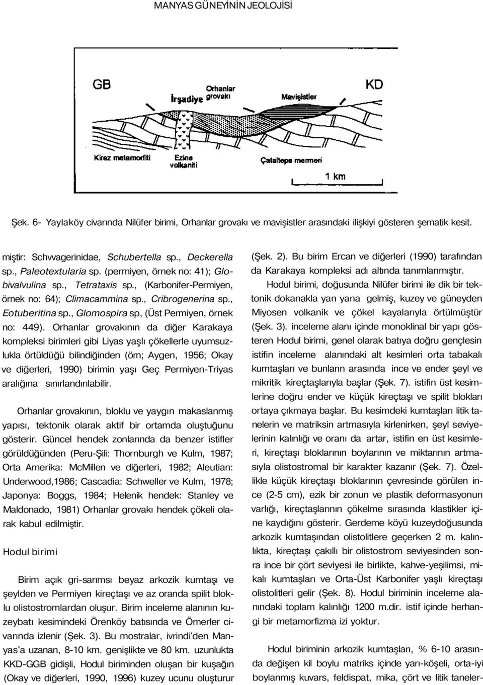 , Glomospira sp, (Üst Permiyen, örnek no: 449).