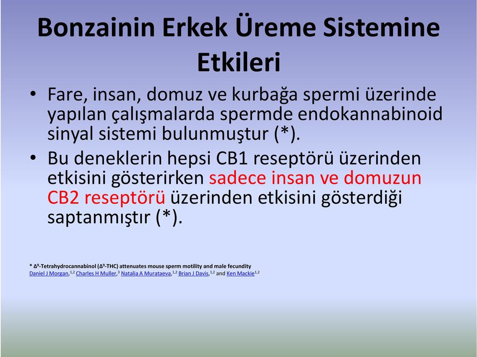 Bu deneklerin hepsi CB1 reseptörü üzerinden etkisini gösterirken sadece insan ve domuzun CB2 reseptörü üzerinden etkisini