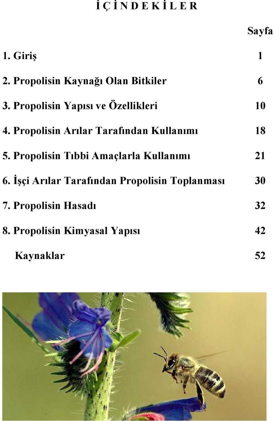 in Arılar Tarafından Kullanımı 18 5.