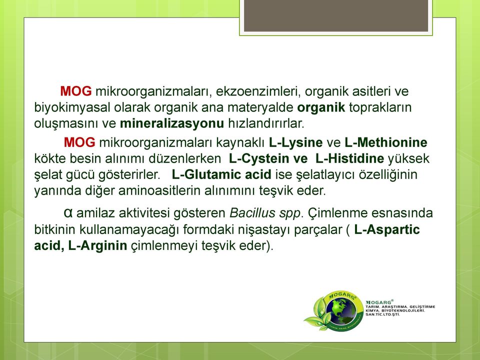 MOG mikroorganizmaları kaynaklı L-Lysine ve L-Methionine kökte besin alınımı düzenlerken L-Cystein ve L-Histidine yüksek şelat gücü gösterirler.