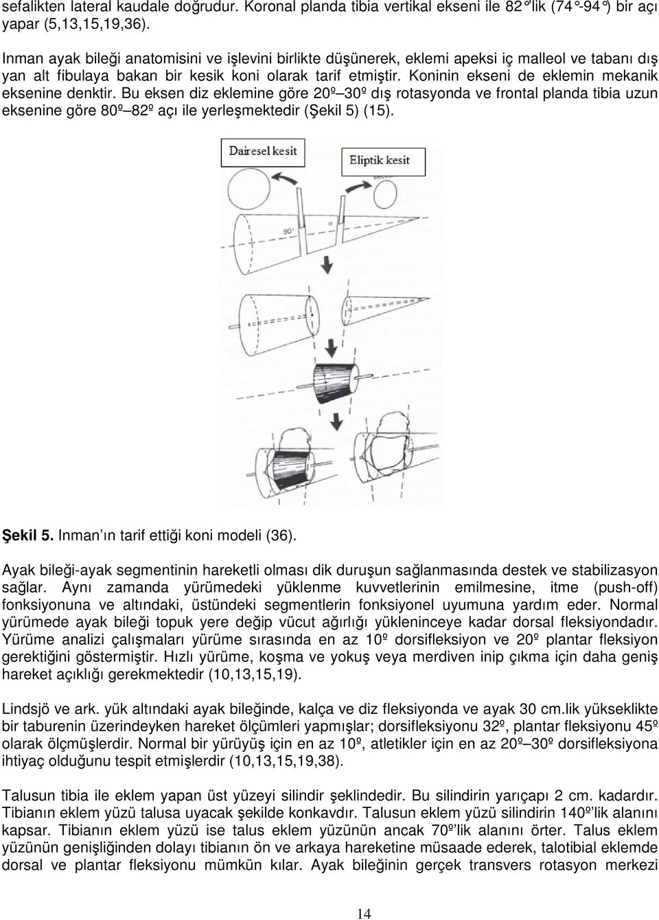 Koninin ekseni de eklemin mekanik eksenine denktir. Bu eksen diz eklemine göre 20º 30º dış rotasyonda ve frontal planda tibia uzun eksenine göre 80º 82º açı ile yerleşmektedir (Şekil 5) (15). Şekil 5.