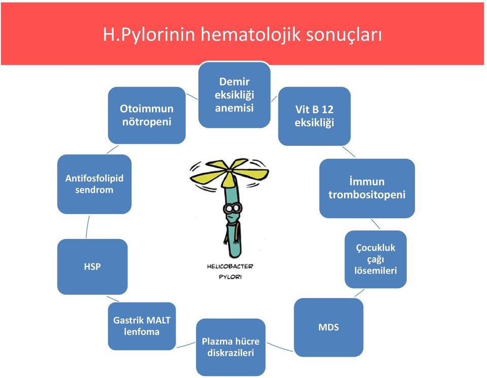 Antifosfolipid sendrom İmmun trombositopeni HSP