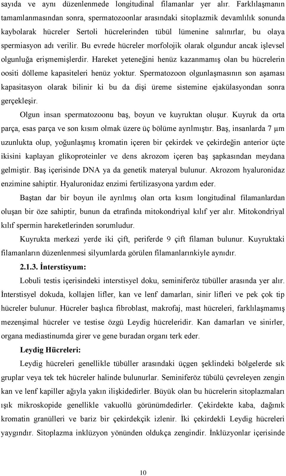 Bu evrede hücreler morfolojik olarak olgundur ancak işlevsel olgunluğa erişmemişlerdir. Hareket yeteneğini henüz kazanmamış olan bu hücrelerin oositi dölleme kapasiteleri henüz yoktur.