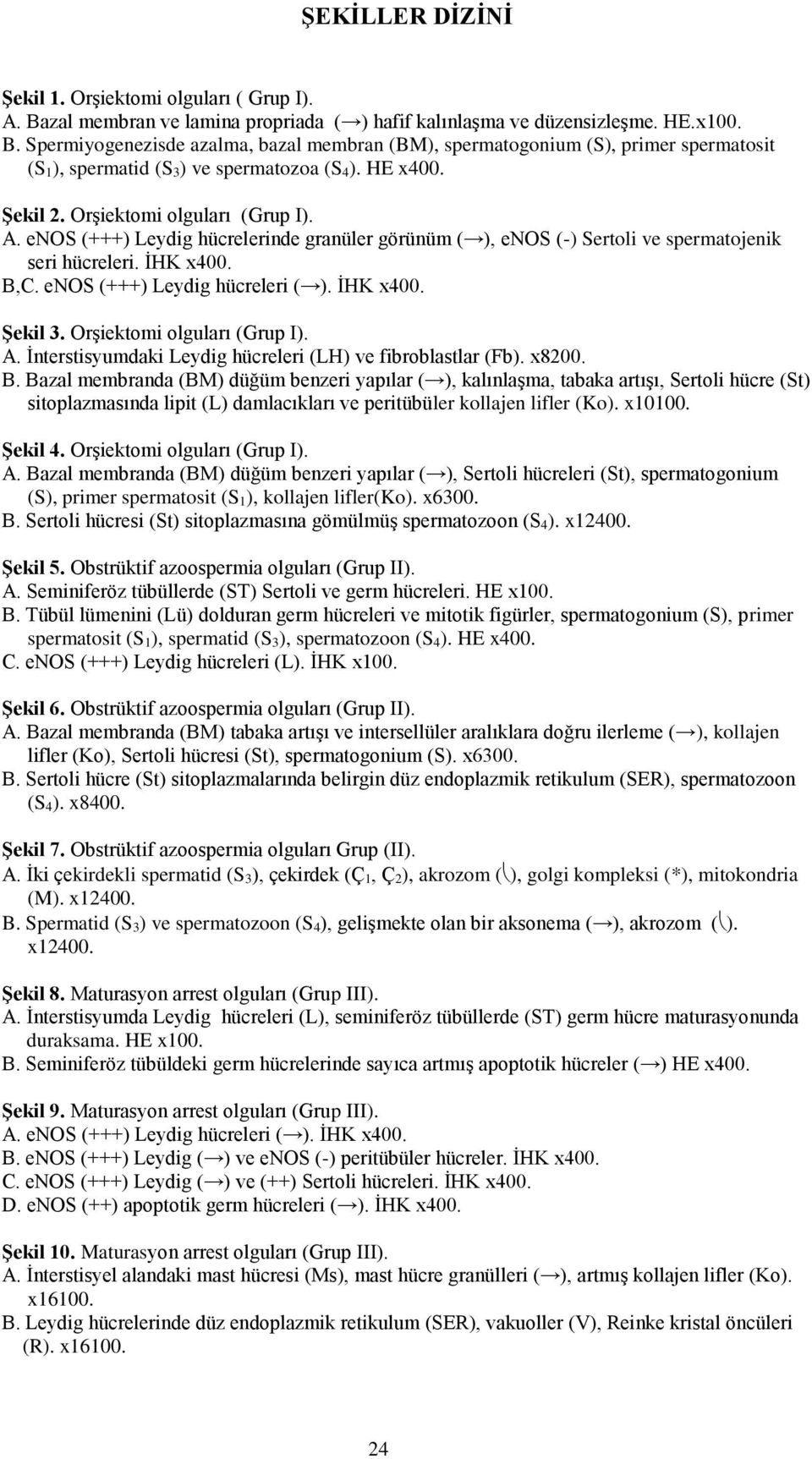 enos (+++) Leydig hücreleri ( ). İHK x400. Şekil 3. Orşiektomi olguları (Grup I). A. İnterstisyumdaki Leydig hücreleri (LH) ve fibroblastlar (Fb). x8200. B.