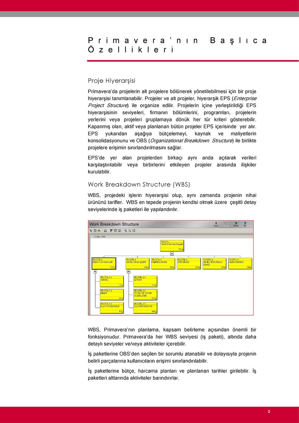 Projelerin içine yerleştirildiği EPS hiyerarşisinin seviyeleri, firmanın bölümlerini, programları, projelerin yerlerini veya projeleri gruplamaya dönük her tür kriteri gösterebilir.