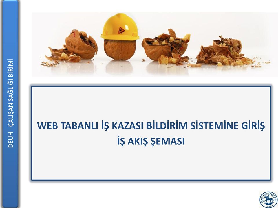 SİSTEMİNE GİRİŞ