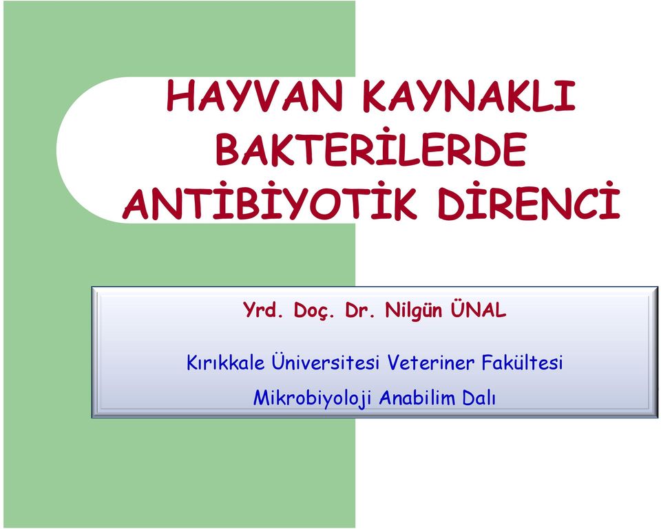 Nilgün ÜNAL Kırıkkale Üniversitesi