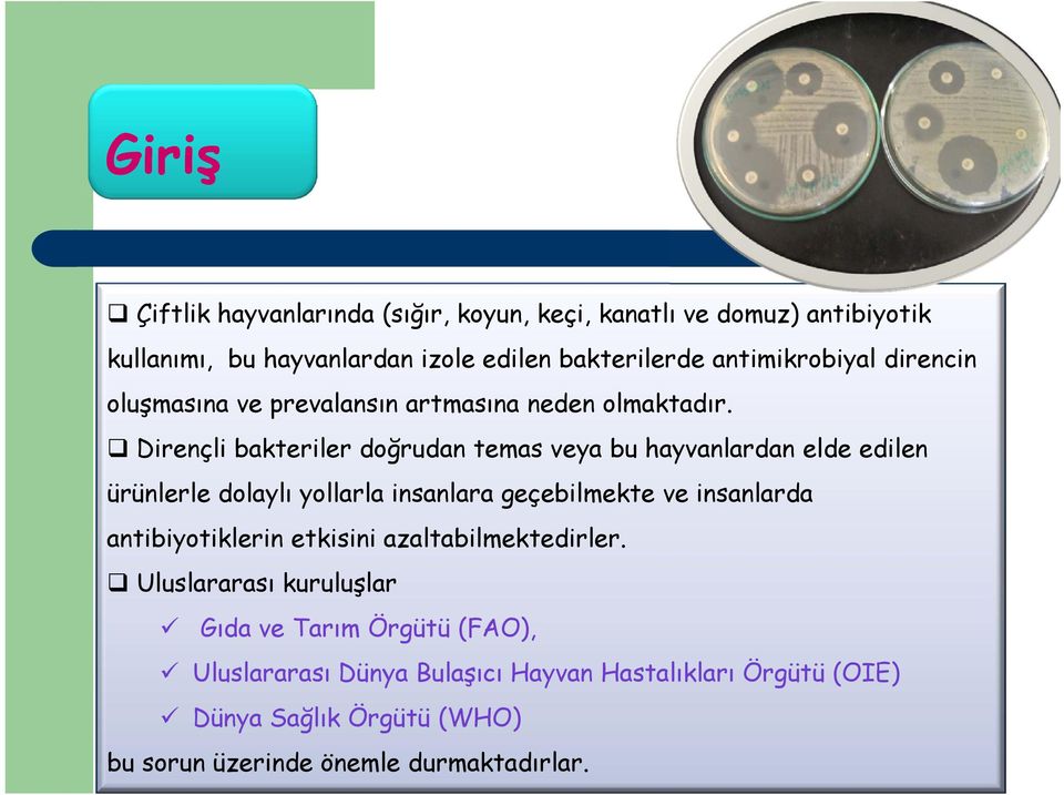 Dirençli bakteriler doğrudan temas veya bu hayvanlardan elde edilen ürünlerle dolaylı yollarla insanlara geçebilmekte ve insanlarda