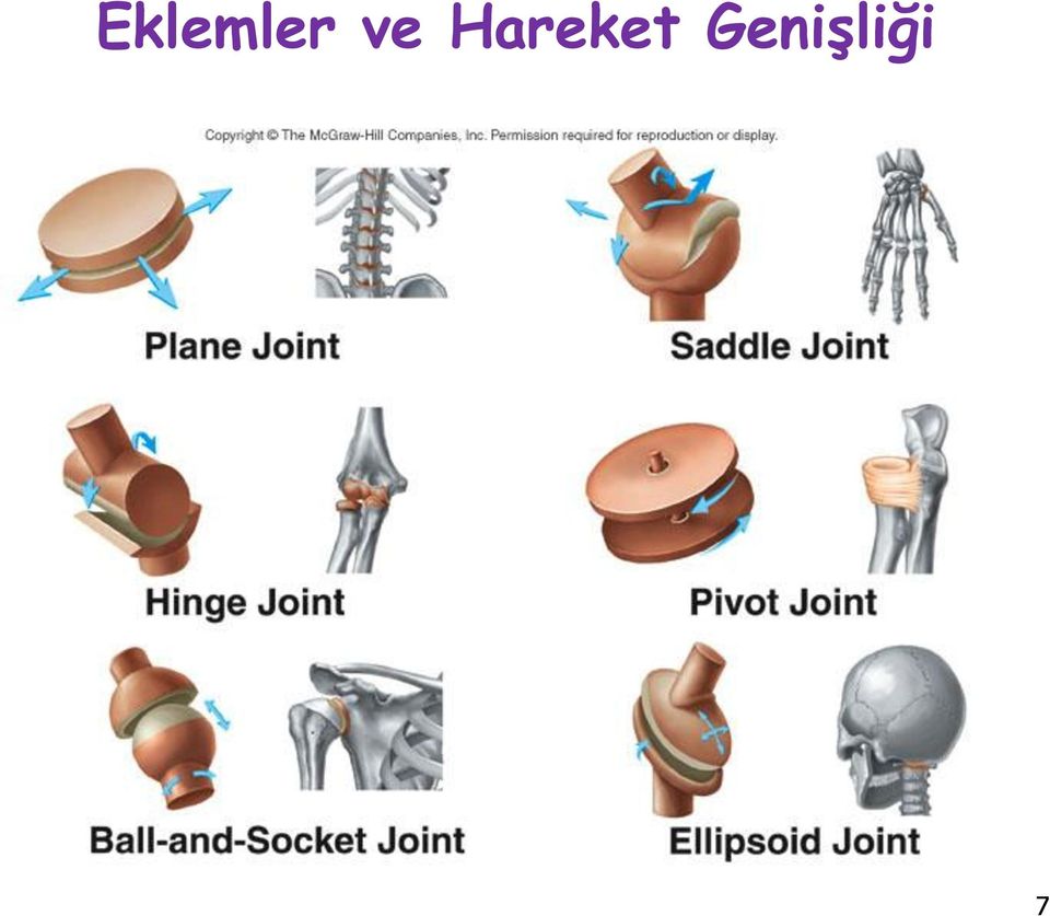 Hareket