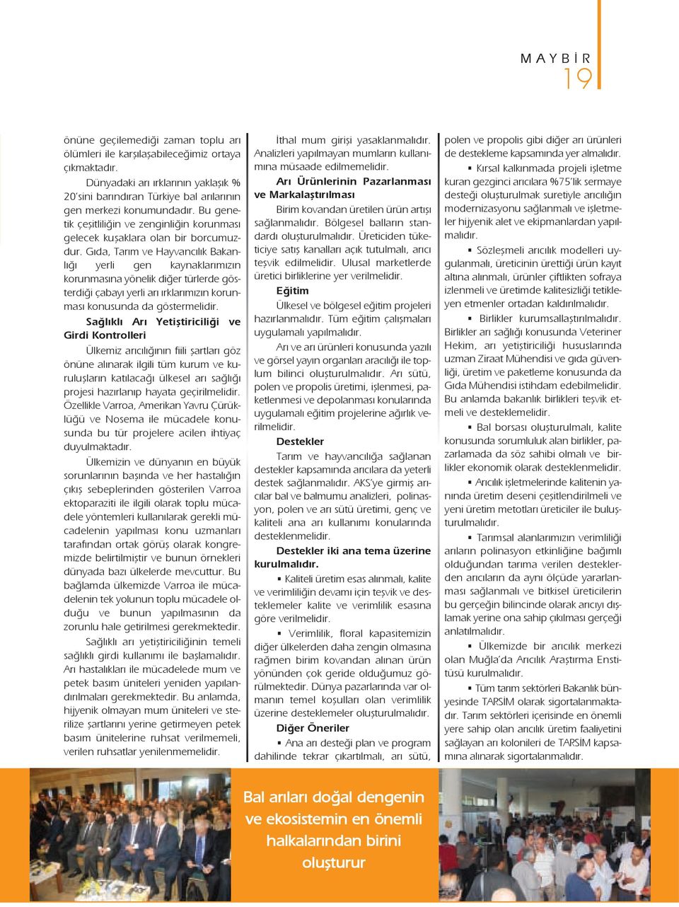 Gıda, Tarım ve Hayvancılık Bakanlığı yerli gen kaynaklarımızın korunmasına yönelik diğer türlerde gösterdiği çabayı yerli arı ırklarımızın korunması konusunda da göstermelidir.