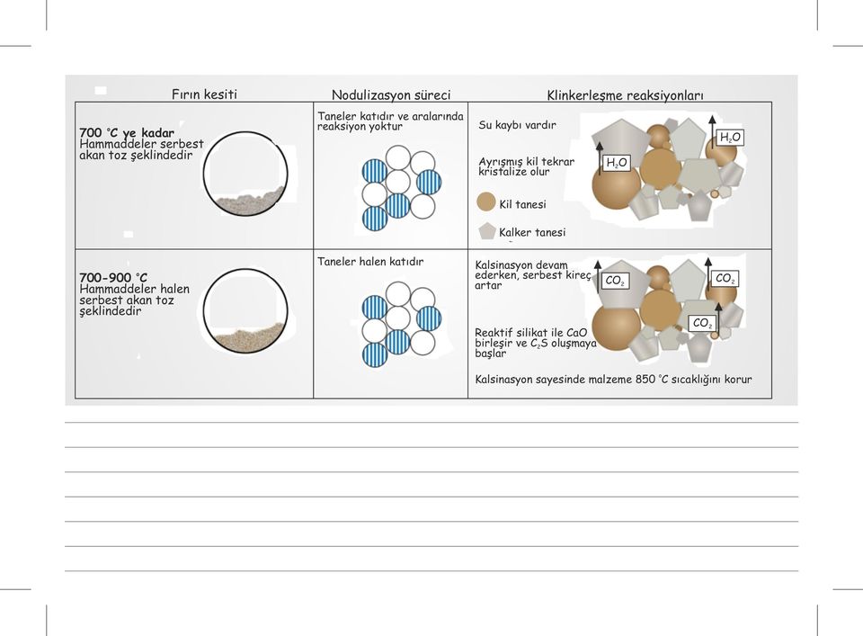 tanesi o 700-900 C Hammaddeler halen serbest akan toz şeklindedir Taneler halen katıdır Kalsinasyon devam ederken, serbest