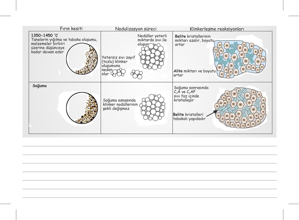 sıvı ile oluşur Belite kristallerinin miktarı azalır, boyutu artar Alite miktarı ve boyutu artar Soğuma Soğuma esnasında