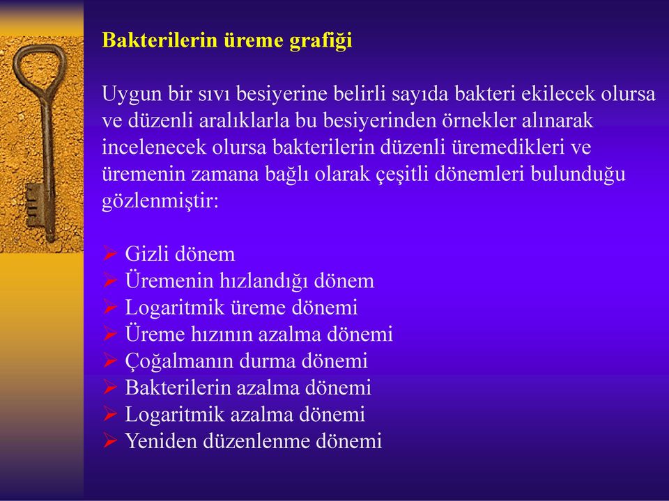 olarak çeşitli dönemleri bulunduğu gözlenmiştir: Gizli dönem Üremenin hızlandığı dönem Logaritmik üreme dönemi Üreme