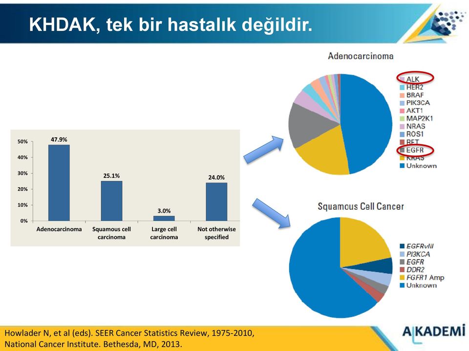 SEER Cancer Statistics Review,