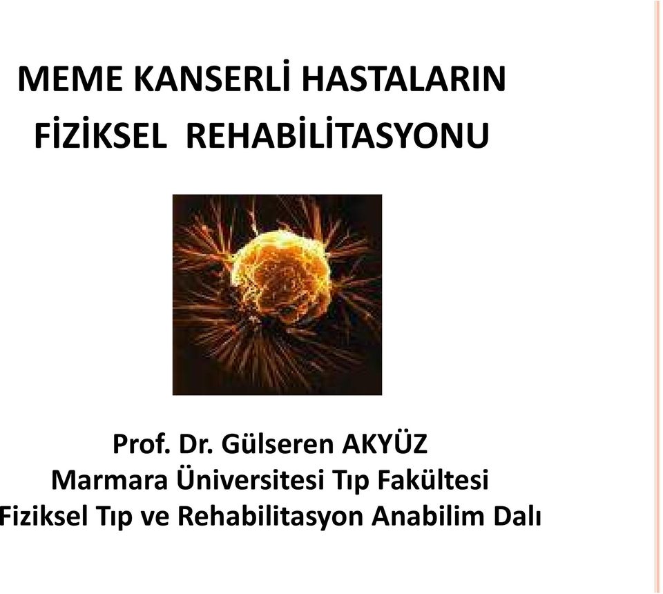 Gülseren AKYÜZ Marmara Üniversitesi