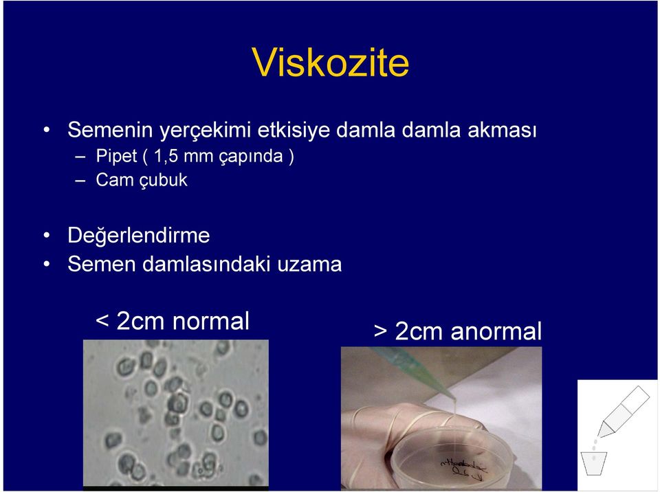 çapında ) Cam çubuk Değerlendirme