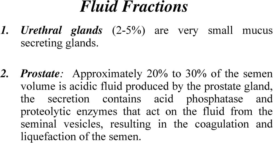 prostate gland, the secretion contains acid phosphatase and proteolytic enzymes that act