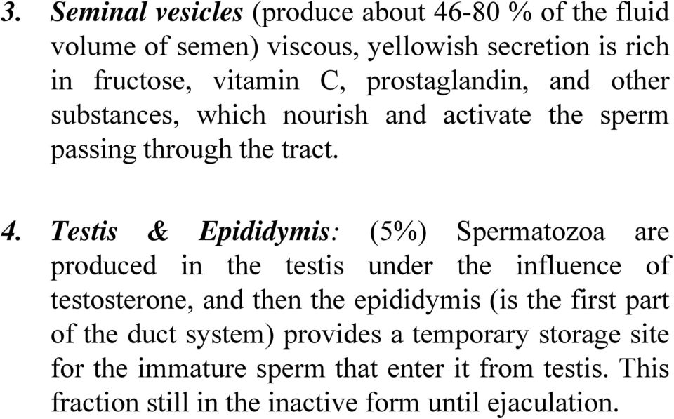 Testis & Epididymis: (5%) Spermatozoa are produced in the testis under the influence of testosterone, and then the epididymis (is the