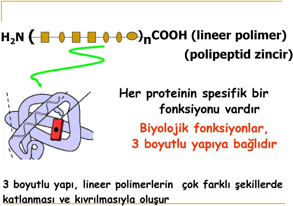 fonksiyonlar, 3 boyutlu yapıya bağlıdır 3 boyutlu yapı,