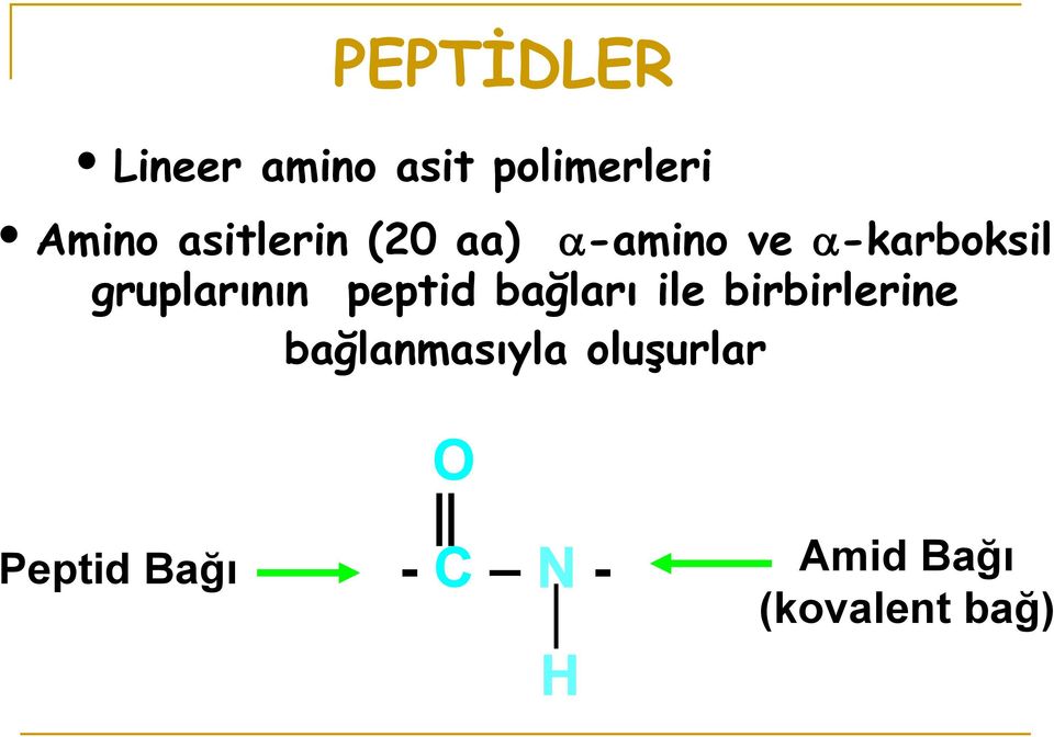 peptid bağları ile birbirlerine bağlanmasıyla