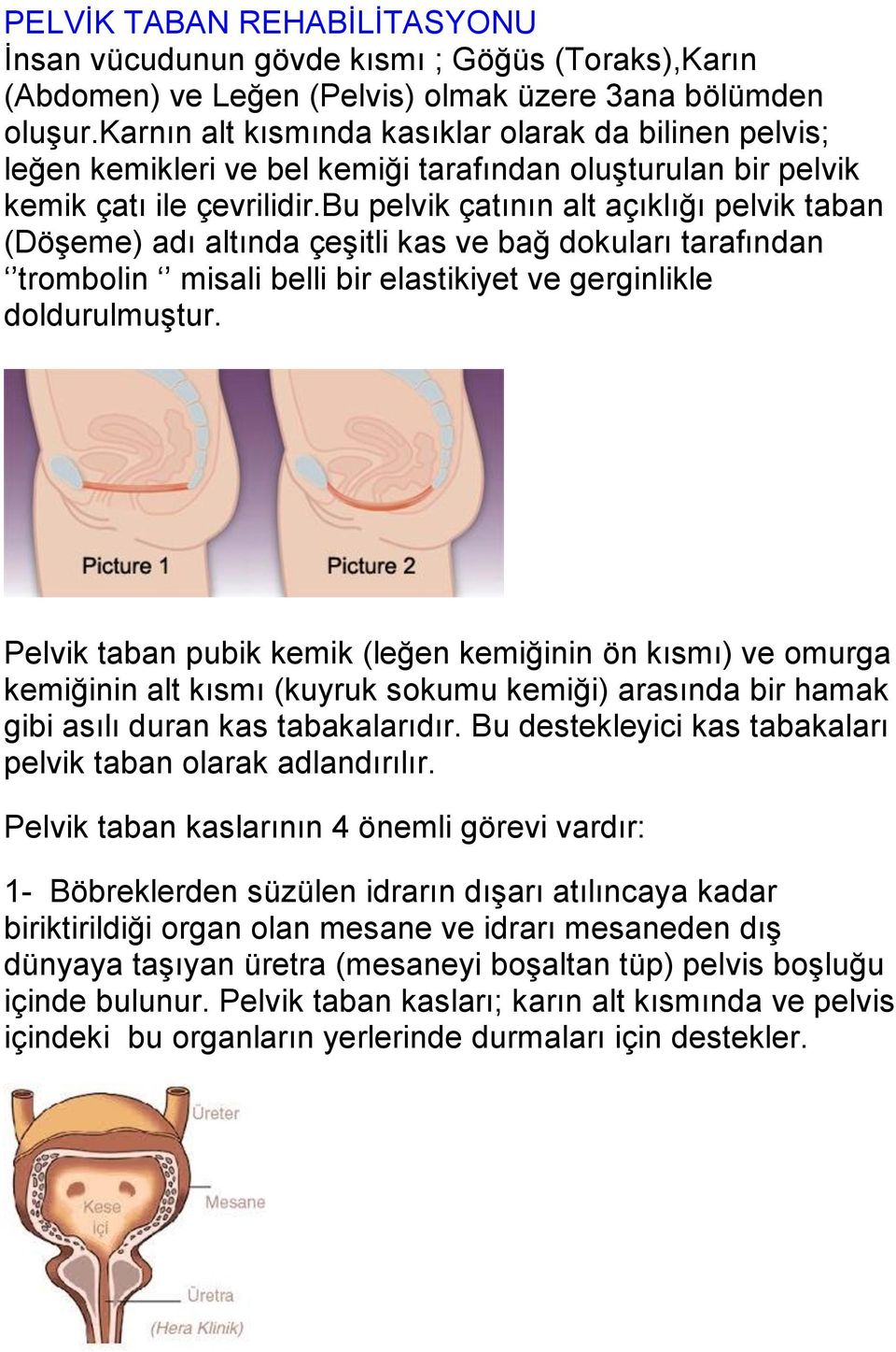 bu pelvik çatının alt açıklığı pelvik taban (Döşeme) adı altında çeşitli kas ve bağ dokuları tarafından trombolin misali belli bir elastikiyet ve gerginlikle doldurulmuştur.