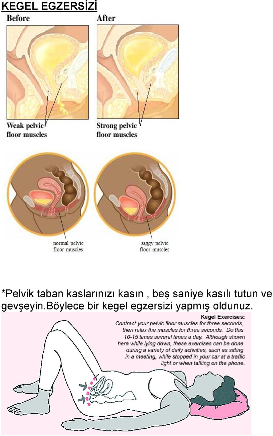 kasılı tutun ve gevşeyin.