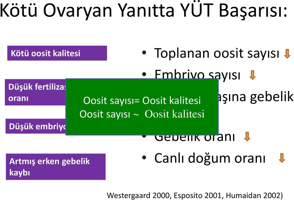 sayısı Transfer başına gebelik oranı Oosit sayısı= Oosit kalitesi Oosit sayısı ~