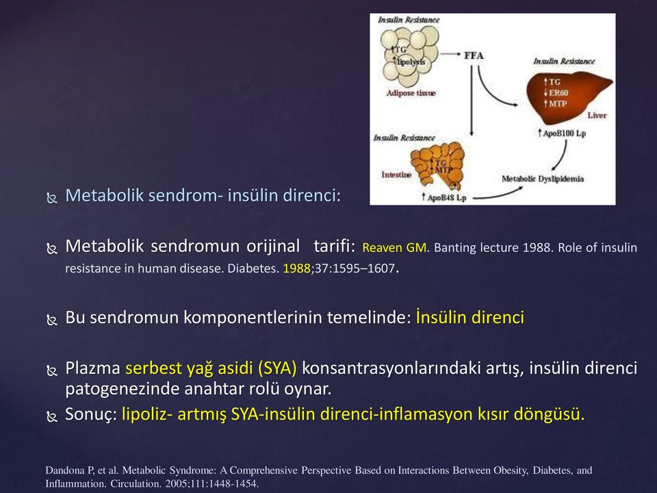 Metabolik sendromun orijinal Bu sendromun komponentlerinin temelinde: İnsülin direnci Plazma serbest yağ asidi (SYA) konsantrasyonlarındaki