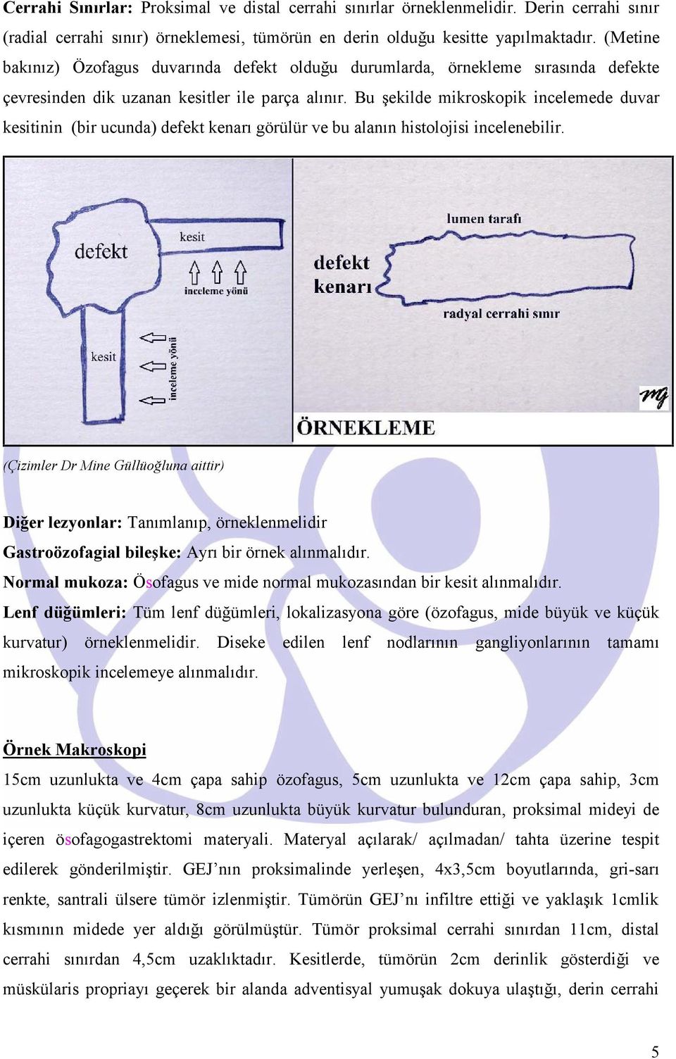 Bu şekilde mikroskopik incelemede duvar kesitinin (bir ucunda) defekt kenarı görülür ve bu alanın histolojisi incelenebilir.