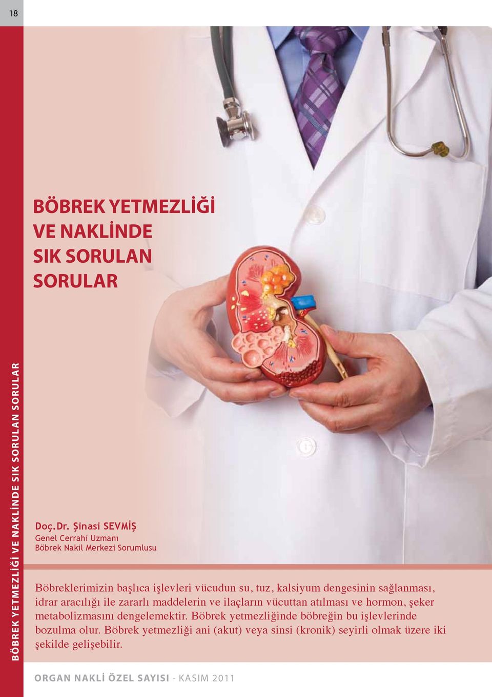 dengesinin sağlanması, idrar aracılığı ile zararlı maddelerin ve ilaçların vücuttan atılması ve hormon, şeker metabolizmasını