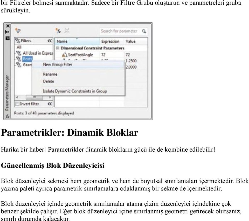 Güncellenmiş Blok Düzenleyicisi Blok düzenleyici sekmesi hem geometrik ve hem de boyutsal sınırlamaları içermektedir.