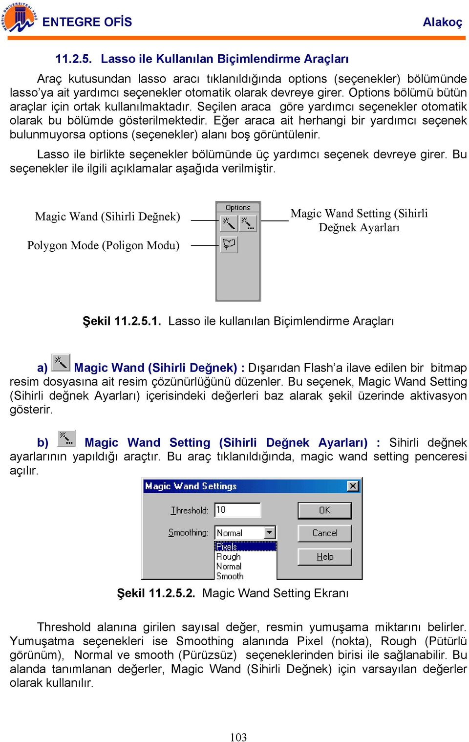 Eğer araca ait herhangi bir yardımcı seçenek bulunmuyorsa options (seçenekler) alanı boş görüntülenir. Lasso ile birlikte seçenekler bölümünde üç yardımcı seçenek devreye girer.