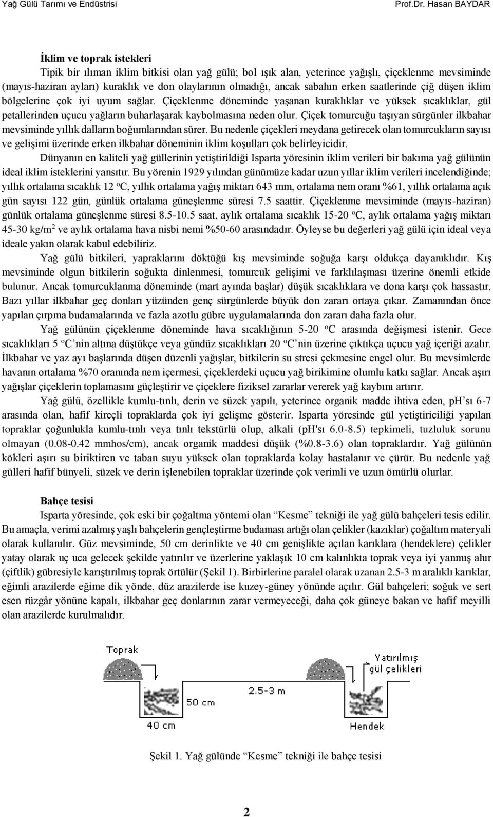 Çiçeklenme döneminde yaşanan kuraklıklar ve yüksek sıcaklıklar, gül petallerinden uçucu yağların buharlaşarak kaybolmasına neden olur.