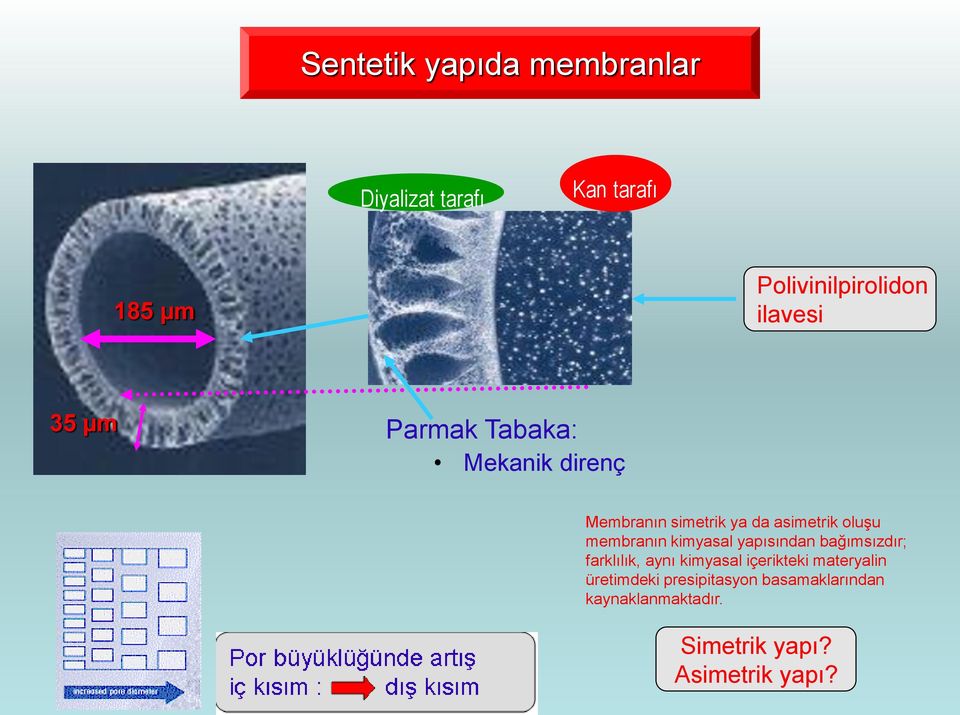 membranın kimyasal yapısından bağımsızdır; farklılık, aynı kimyasal içerikteki